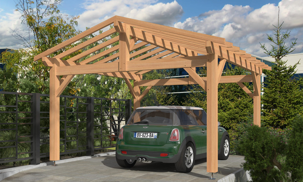 carport-mimosa-toit-2-pentes-450x450m-pin-douglas.jpg